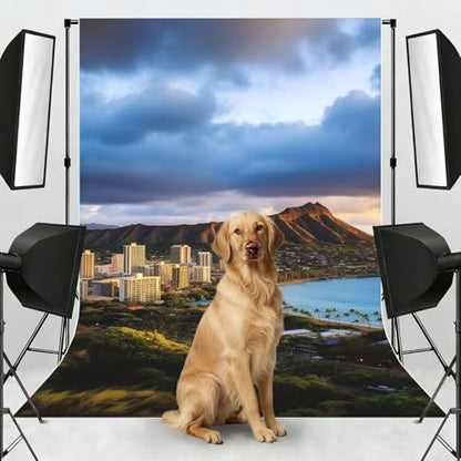 Hawaii Skyline Diamond Head Volcano Backdrop Background for Photography 5x7ft Photobooth Professional Photo Backdrop Curtains Video Photography Studio Photo Backgrounds Banner BoothScreen Parties - color: Hawaii Skyline Diamond Head Volcano