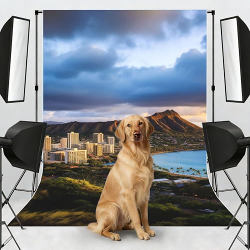 Hawaii Skyline Diamond Head Volcano Backdrop Background for Photography 5x7ft Photobooth Professional Photo Backdrop Curtains Video Photography Studio Photo Backgrounds Banner BoothScreen Parties - color: Hawaii Skyline Diamond Head Volcano