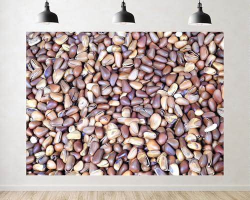 Trykid 10x6.5ft Pine Nuts Nutty Texture Background Backdrop Brown Nutty Seed Closeup Photography Background Food Cooking Kitchen Party Decoration Tapestry Photo Booth Prop Fabric Backdrop - size: 10x6.5ft