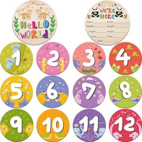14 Designs Safari Twin Baby Monthly Milestone Cards Sign, 1-12 Months Wooden Photo Props for Twins, Gender-Neutral Twin Baby Shower Cards, Twins Memory Book Essentials (Twins Monthly Milestone) - color: Twins Monthly Milestone