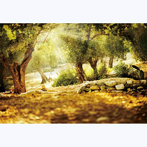 Yeele 8x4ft Spring Forest Backdrop for Photography Natural Jungle Woodland Scenery Green Tree Sunlight Scene Background for Kids Birthday Party Decor Baby Shower Banner Photo Shoot Props Vinyl - size: 8x4ft