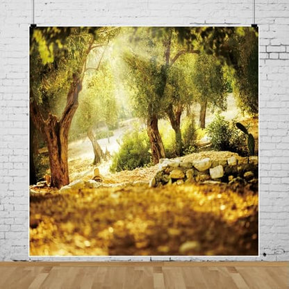 Leyiyi 8x8ft Natural Scenery Backdrop Olive Trees Sunshine Wonderland Dreamy Haze Blurred Background Stone Natural Forest Landscape Video Photo Studio Prop - size: 8x8ft