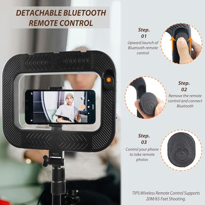 Smartphone Video Rig with Light, Handheld Ring Selfie Light Kit, LED Mobile Video Stabilizer with Built-in 8000mAh Battery for Camera, Smartphone, YouTube, TikTok Video Recording, Makeup - style: LED