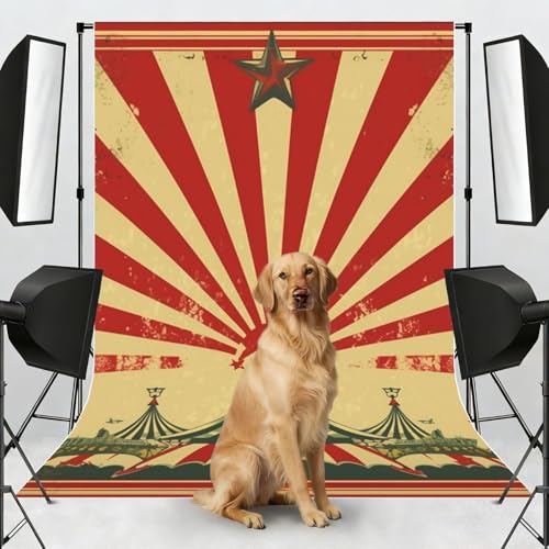 Vintage Circus Background Backdrop Background for Photography 5x7ft Photobooth Professional Photo Backdrop Curtains Video Photography Studio Photo Backgrounds Banner Booth Background Screen Parties - color: Vintage Circus Background