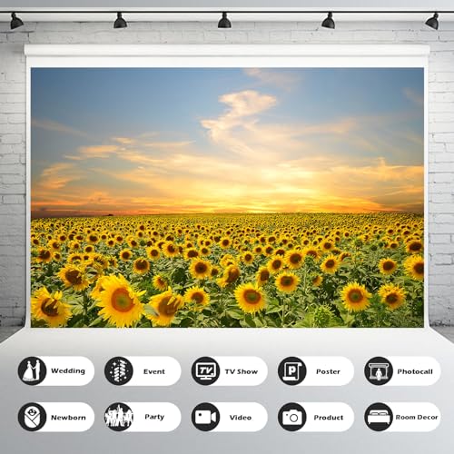 Blooming Sunflowers Backdrop Sunset Over Sunflower Field Photography Background Vibrant Colorful Sunflowers Green Leaves Landscape Backdrop for Kids Children Birthday Photo Studio Props 5x3ft - color: Orange_Yellow, size: 5x3ft