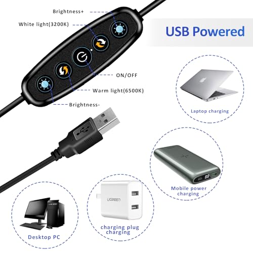 Cyezcor Video Conference Lighting Kit， Clip on Light Reading Lights， Ring Light, 360 ° Flexible Gooseneck Bed Night Light ，Computer Laptop Video Conferencing - size: 6 Inch