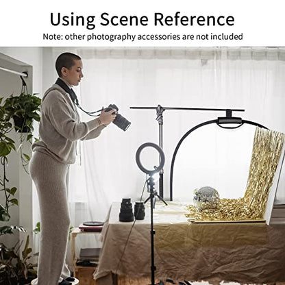 Selens 5-in-1 Oval Reflector with Handle for Photography Photo Studio Lighting & Outdoor Lighting (59 x 39 Inch) - size: 59 x 39 Inch Oval Reflector