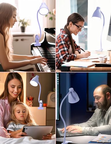 BOHON Desk Lamp with Clamp, 10W 38 LED Clip on Light, 5 Color 10 Brightness Auto Off Timer, Flexible Gooseneck Clip Lamp, Desk Lights for Office Home Bed Bedside Reading, Lilac Purple - color: Lilac Purple