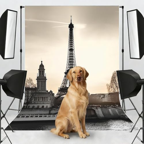 Travel Paris Backdrop Background for Photography 5x7ft Photobooth Professional Photo Backdrop Curtains Video Photography Studio Photo Backgrounds Banner Booth Background Screen Parties - color: Travel Paris