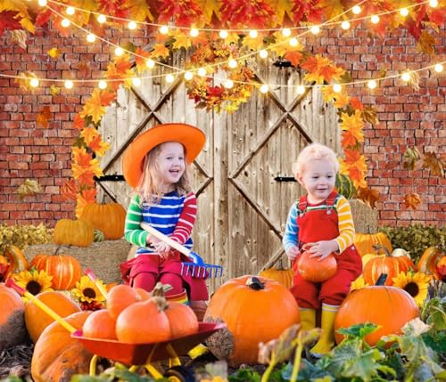 Fall Thanksgiving Backdrops for Photography Pumpkin Barn Door Fall Photo Backdrop LFEEY 10x8ft Maple Autumn Harvest Theme Background Autumn Farm Harvest Event Party Decorations Banner Photo Props