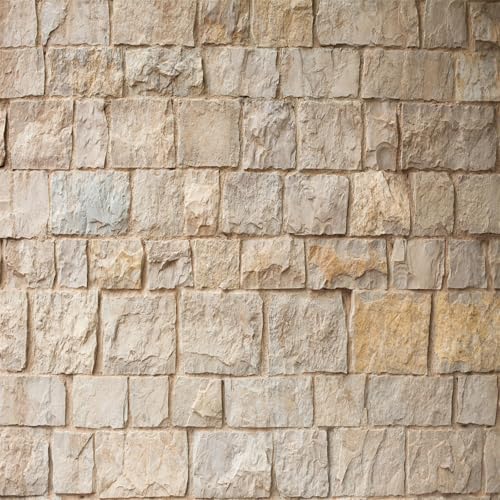 8x8ft Fabric Brick Stone Wall Backdrop Old Outdoor Rock Stone Wall Textures Background for Medieval Castle Party Decorations Baby Shower Kids & Adults Portarit Photo Props - size: 8x8FT