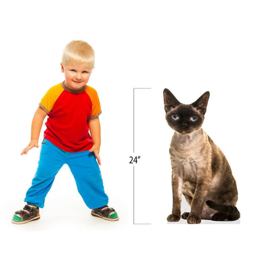CAT - Devon REX - Life Size Cardboard Cutout Standup People with Support Standee | Animals - - color: Cat - Devon Rex