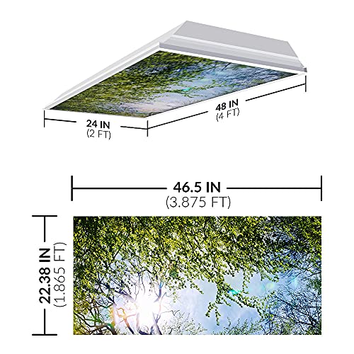 OCTO LIGHTS Tree Fluorescent Light Covers 2x4 Fixtures (22.38" x 46.5") Ceiling Light Cover for Classroom and Office, Decorative Light Covers for Ceiling Lights, Office Light Covers - (Pack of 1) - color: Evergreen Ash Tree, size: 1pk