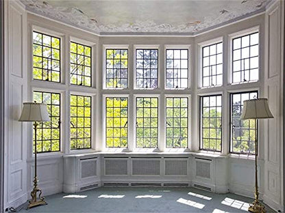 AOFOTO 8x6ft Classic French Pane Bay Windows Backdrop Luxury Retro Interior Decoration Floor Lamps Photography Background New Life Furniture Home Lifestyle Estate Modern Residence Photo Studio Props - size: 8x6ft