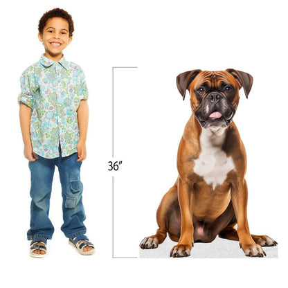 Dog - Boxer - Life Size Cardboard Cutout Standup People with Support Standee | Animals - - color: Dog - Boxer