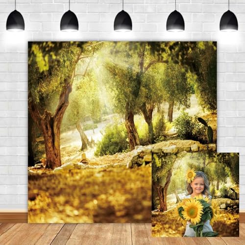Leyiyi 8x8ft Natural Scenery Backdrop Olive Trees Sunshine Wonderland Dreamy Haze Blurred Background Stone Natural Forest Landscape Video Photo Studio Prop - size: 8x8ft