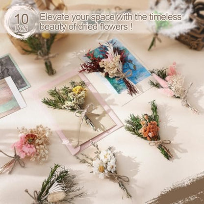 Nuanchu 10 Pcs Mini Dried Flower Bouquet Mixed Natural Dried Flowers with Stem Boho Plant Stem Bunch for DIY Craft Card Home Party Photo Props Wedding Decor, 5 to 6 inches(Classic Styles) - style: Classic Styles