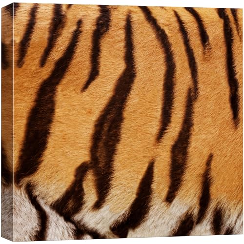 wall26 - Canvas Prints Wall Art - Canvas Prints Wall Art - Tiger Fur/Skin Texture - 12"x12" - color: 01. Tiger Pattern, size: 12"L x 12"W
