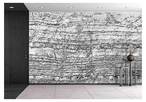 wall26 - Black and White Cracked Stone Pattern for The Best Texture and Design Artwork - Removable Wall Mural | Self-Adhesive Large Wallpaper - 66x96 inches - color: Artwork - 06, size: 66"x96"