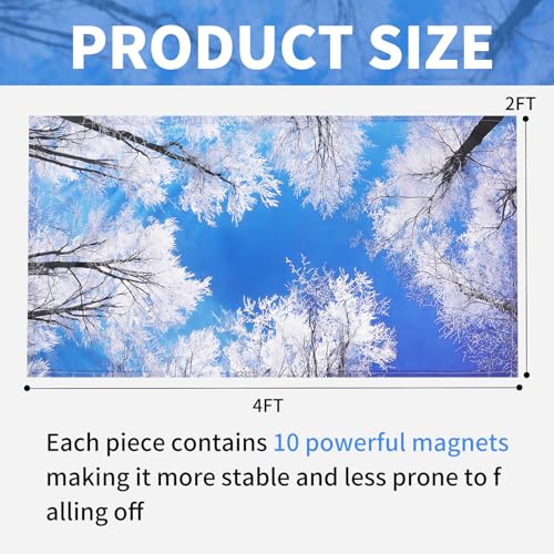 Torixqi 4 Pcs Fluorescent Light Covers - Light Covers for Ceiling Lights Classroom, Magnetic Light Filters for Office, Hospitals, Home 4 x 2 Feet (winter) - color: winter