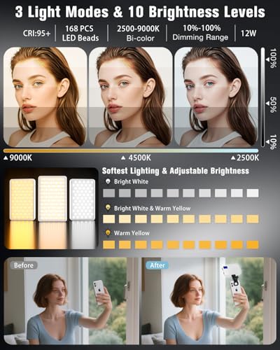 168 LED Portable Selfie Light Video Conference Light with Front & Back Clip, Rechargeable 3 Light Modes for Phone, iPhone, Android, iPad, Camera, Laptop, Makeup, Tiktok, Vlog(White) - color: White