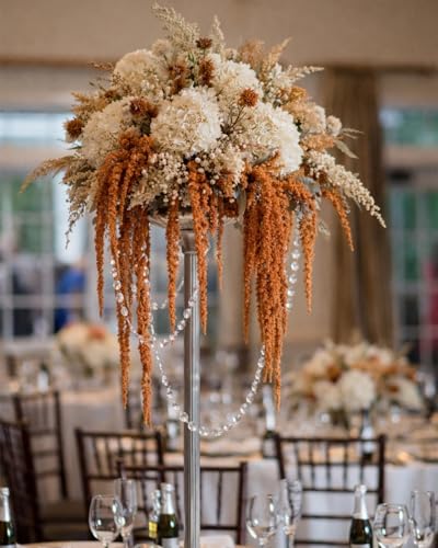 10Pcs Brown Preserved Hanging Amaranthus Flowers - 23" Cascading Dried Flower Tassels for Boho Wedding Arch, Vase Arrangements, Backdrop Installations & Home Decor