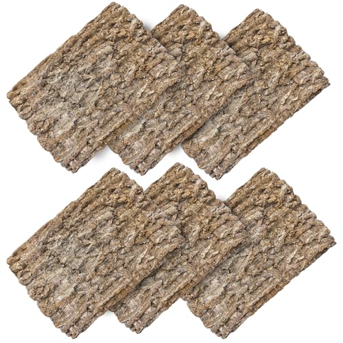 Hamiledyi 6PCS Cork Terrarium Background 15.7x11.8in Natural Large Cork Bark Backdrop Reptile Climbing Mat Tank Habitat Decor for Spider Lizard Chamelon Turtle Beared Dragon - size: 6PCS-15.7x11.8in