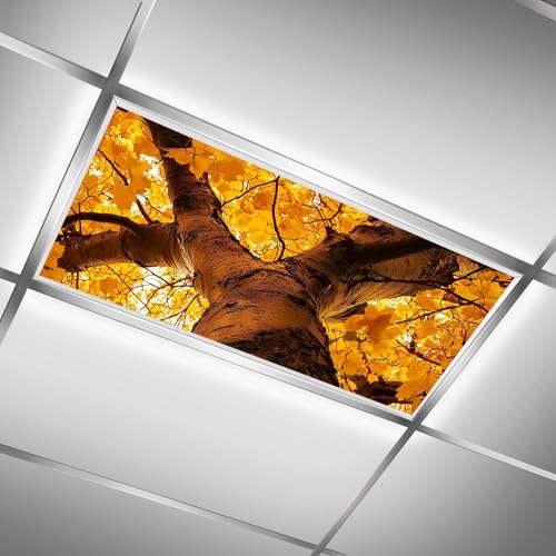 Fluorescent Light Covers for Classroom Ceiling Lights – 2x4ft Backlit Film for Fluorescent Fixtures, Reduce Glare and Eye Strain, Easy to Install – School, Office, Sensory -Tenacious Tree - color: Tenacious Tree（1）