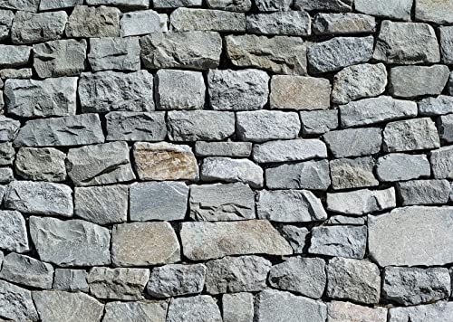 BELECO 20x10ft Fabric Vintage Brick Stone Wall Backdrop for Photography Ancient Rock Wall Textured Brick Stone Background Wallpaper Stone Wall Birthday Party Decorations Studio Booth Photo Props - size: 20x10FT