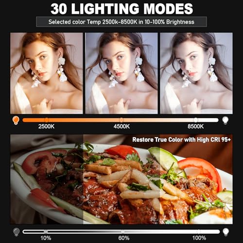 30W Upgraded Photography Lighting Kit, Anautin 2-Pack LED Video Lighting for Video Recording, 3700Lux Studio Lights with Tripod Stand for Photography, Streaming, Gaming, Podcast, Filming, Vlogging - size: 2-Pack, style: 30W Video Light