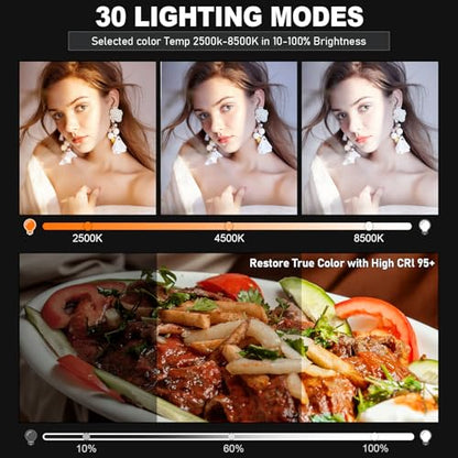 30W Upgraded Photography Lighting Kit, Anautin 2-Pack LED Video Lighting for Video Recording, 3700Lux Studio Lights with Tripod Stand for Photography, Streaming, Gaming, Podcast, Filming, Vlogging - size: 2-Pack, style: 30W Video Light