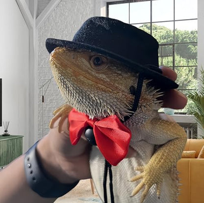 Bearded Dragon Clothes Costume Pet Lizard Outfit Set Small Reptile Business Suit for Photo Props & Daily Wear,Adjustable Hat and Bowtie for Gecko Chameleon Amphibians Ferret Hamster - color: Business Suit-Black
