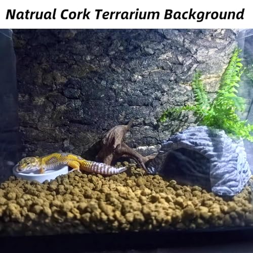 Hamiledyi 2PCS Cork Terrarium Background 15.7x11.8in Natural Cork Large Bark Backdrop Reptile Climbing Mat Habitat Decor for Spider Lizard Chamelon Turtle Beared Dragon - size: 2PCS-15.7x11.8in