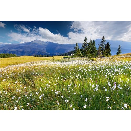 12x8ft Vinyl Summer Landscape Backdrops for Photography Background Blooming Flower Mountain Landscape Grass Field Vacation Holiday Party Backdrop Children Adults Portraits Photo Studio - size: 12x8ft