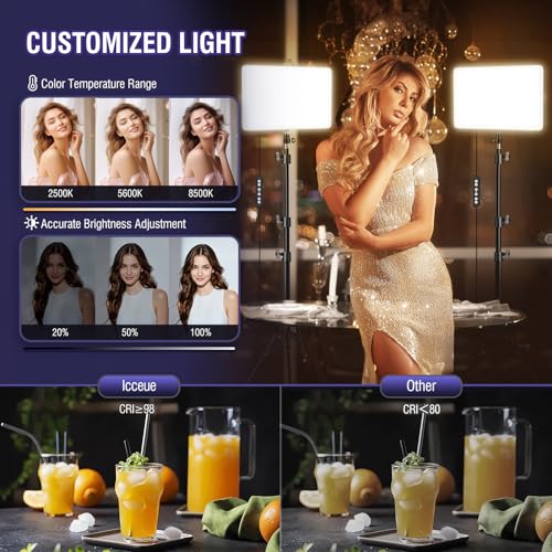 2-Pack LED Video Light Kit with 63'' Tripod Stand, 2500K-8500K Dimmable Studio Light Photography Panel Lighting for Video Recording Game Live Streaming Podcast YouTube Filming, Phone Holder - size: 2 Pack