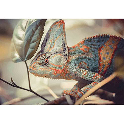 wall26 - Yemen Chameleon - Removable Wall Mural | Self-Adhesive Large Wallpaper - 66x96 inches - color: Artwork - 03, size: 66"x96"
