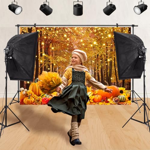 Fall Photo Backdrop Fall Photography Backdrop Thanksgiving Day Friendsgiving Party Decorations Autumn Maple Leaves Pumpkin Background Supplies Farm Harvest Banner 9x6ft - size: 9x6FT