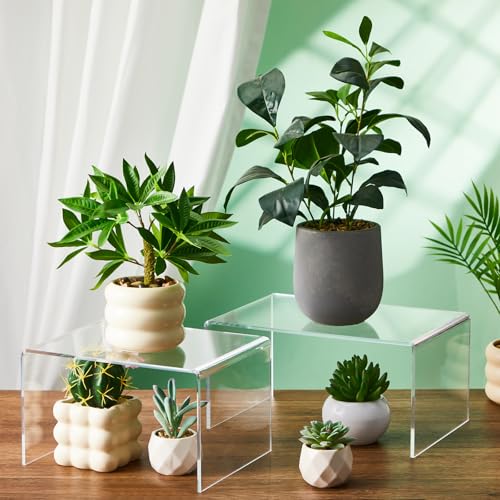 RattanView 2 Pcs 10 Inch, 12 Inch Large Acrylic Risers Display Stands 5 mm Thick Acrylic Shelf Riser Showcase for Collectibles Jewelry Cupcakes Food Figures Perfume Cabinet (Clear) - color: Clear, size: 10 Inch, 12 Inch, 5 mm