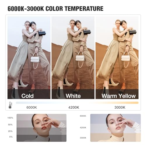 BEIYANG Softbox Lighting Kit, 2x20''x28'' Photography Soft Box with 2 pcs 85W 6000K E27 LED Socket LED Bulbs, Studio Lights for Photography/Video Recording/Live Streaming
