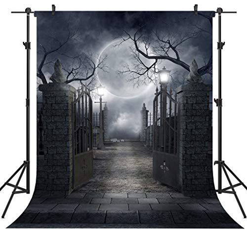10X12FT Halloween Theme Pictorial Cloth Seamless Customized Photography Backdrop Background Studio Prop TP17F - size: 10'x12'