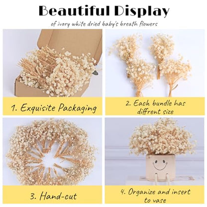 4700+ Mini Dried Babys Breath Flowers, 90+Pcs Ivory White Baby Breath Flower Bulk, Dried Flowers for Crafts, Wedding Decor Boho Invitation, Resin Candle Making, Dry Babies Flowers, Rustic Gypsophila