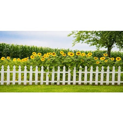 Leyiyi Spring Natural Scenery Backdrop 20x10ft Photography Backdrop Blossoming Yellow Sunflowers Tall Lush Tree White Wooden Textured Fence Family Children Baby Girl Personal Portraits Studio Props - size: 20x10ft