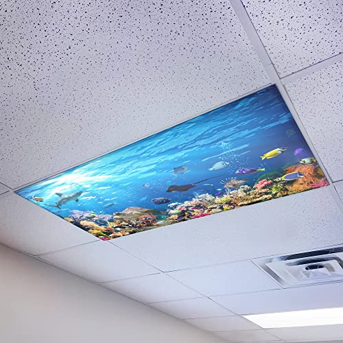 Magnetic Fluorescent Light Cover for Ceiling Lights Classroom 2x4 - High Resolution Magnetic Office Light Filter (Pack of 1) - Improve Focus, Eliminate Headaches & Eyestrain - Ocean - color: Coral Reef