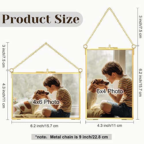 Treela 6 Pcs Pressed Flower Glass Picture Frames 6 x 4 Inch Brass Hanging Double Glass Frame Gold Floating Photo Frame Clear Horizontal Vertical Frames with Chain for Gallery Vintage Artwork Display - color: Gold, Transparent, size: 6 x 4 Inch