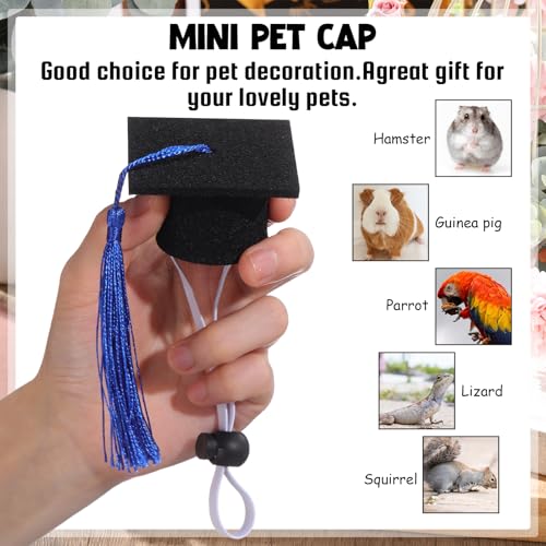 Eccliy 2 Pcs Pet Graduation Caps Mini Bachelor Hats with Tassel for Small Animal Guinea Pigs Hedgehog Bird Turtles Hamster Photo Props Graduation Holiday Festival Party Accessory(Blue) - color: Blue