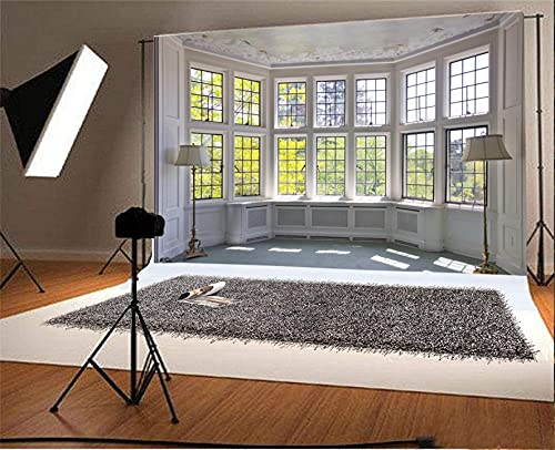 AOFOTO 6x4ft Classic French Pane Bay Windows Backdrop Luxury Retro Interior Decoration Floor Lamps Photography Background New Life Furniture Home Lifestyle Estate Modern Residence Photo Studio Props - size: 6x4ft