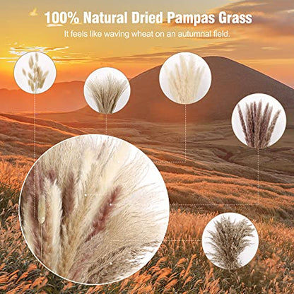 N&T NETING Dried Pampas Grass Decor- White Pampas Grass, Brown Pampas, Bunny Tail, Reed, Fluffy Dried Pompas Grass Flower for Home Wedding Table Vase Boho Modern Decor, 75Pcs