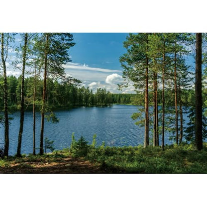 12x6ft Forest Lake Photo Backdrop Park Lakeside Green Trees Natural Scenery Background Banner Spring Summer Countryside Outdoor Picnic Camping Hiking Decor Kids Adults Portrait Studio Props - size: 12x6ft