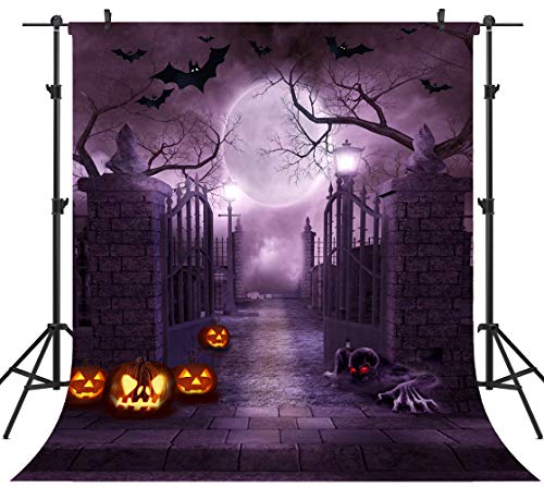 10X10FT Halloween Theme Pictorial Cloth Customized Photography Backdrop Background Studio Prop TP262C - size: 10X10FT