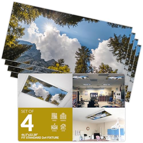 OCTO LIGHTS Tree Fluorescent Light Covers 2x4 Fixtures (22.38" x 46.5") Ceiling Light Cover for Classroom and Office, Decorative Light Covers for Ceiling Lights, Office Light Covers - (Pack of 4) - color: Tree Mountain Sky, size: 4pk